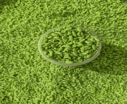 Mouth Freshener Madrasi Green